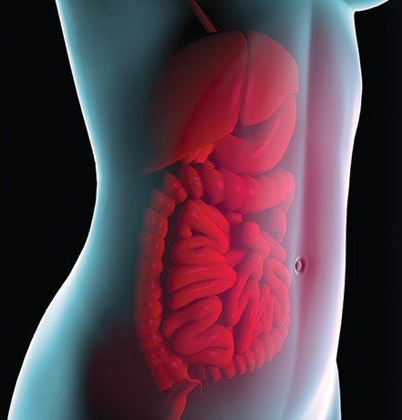9th Annual Jefferson Women and Gastroenterology Health Symposium Banner
